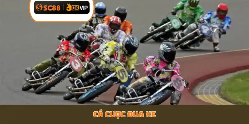 Cá cược đua xe