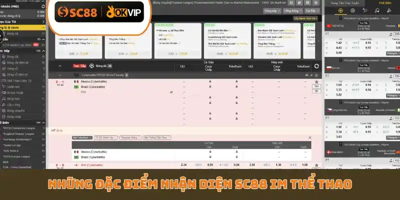 Những đặc điểm nhận diện SC88 IM Thể Thao