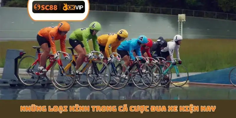 Những loại hình trong cá cược đua xe hiện nay